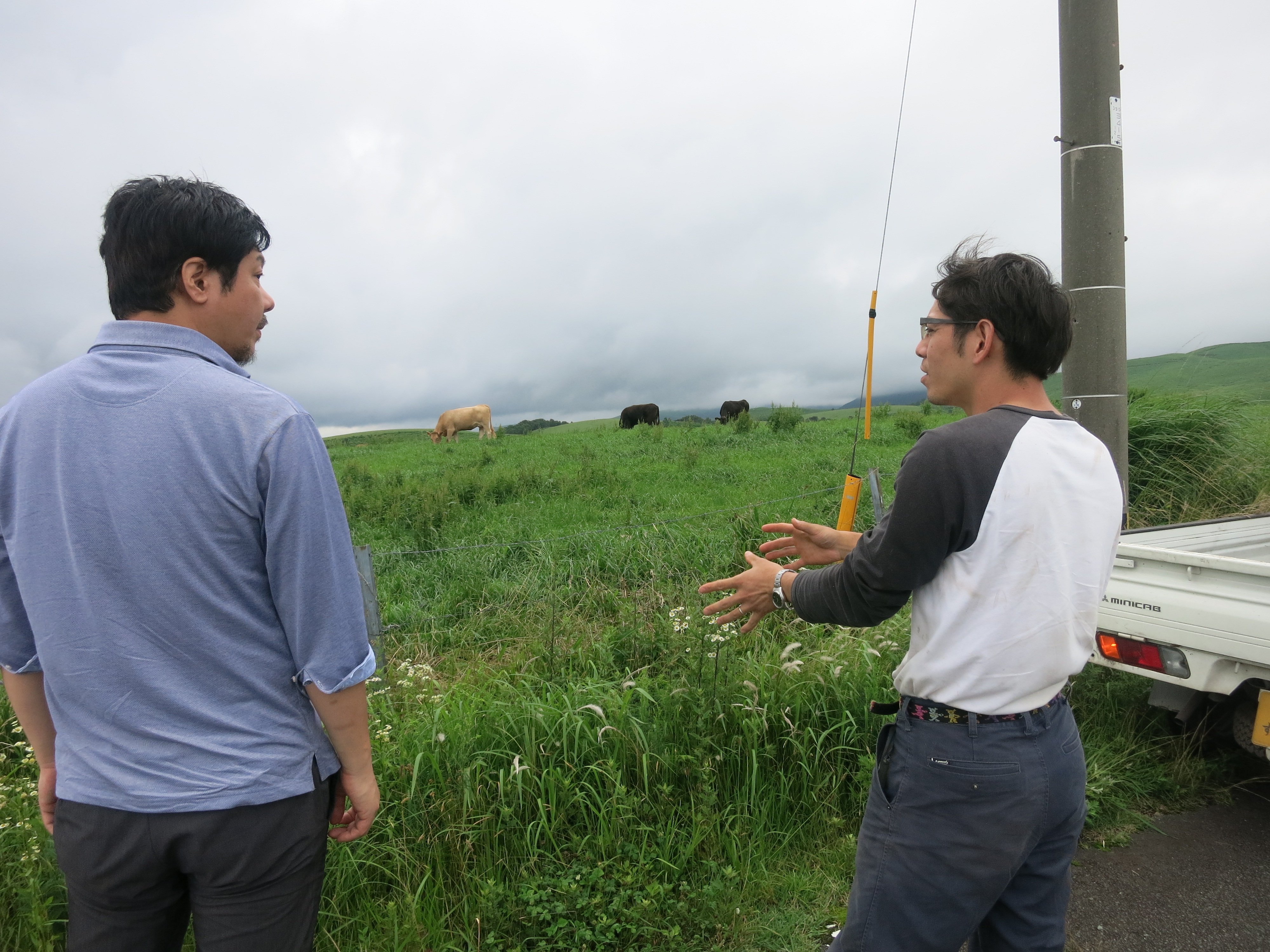 Visiting Akaushi farm in Aso